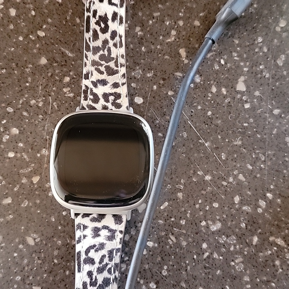 Samsung versa 2 fit bit